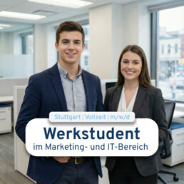 Primestone Stelle Werkstudent