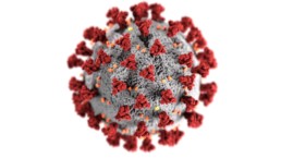 Diese Abbildung, die in den Centers for Disease Control and Prevention (CDC) erstellt wurde, zeigt die ultrastrukturelle Morphologie von Corona Viren.